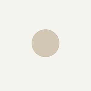 product img 1