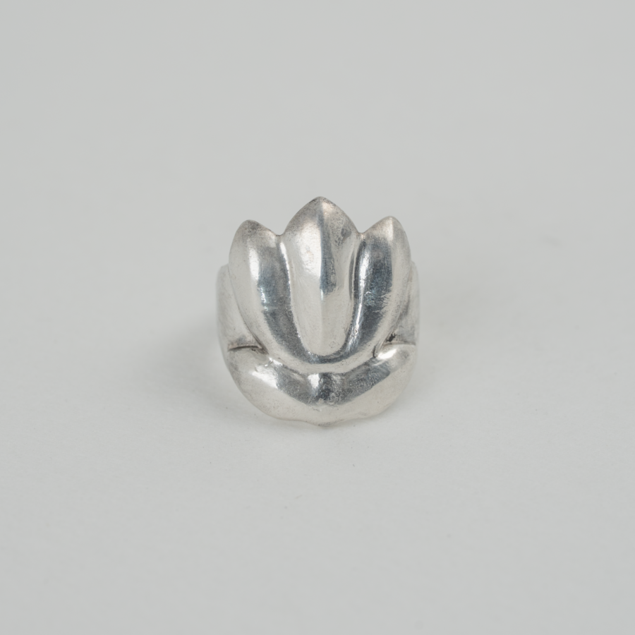 연꽃 (5)